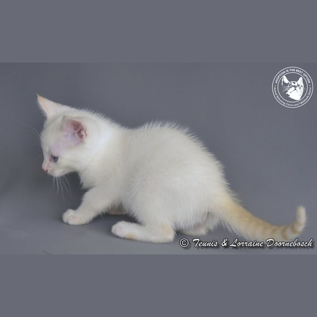 Photo of Monte Carlo