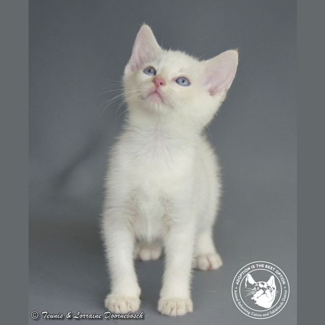 Photo of Monte Carlo