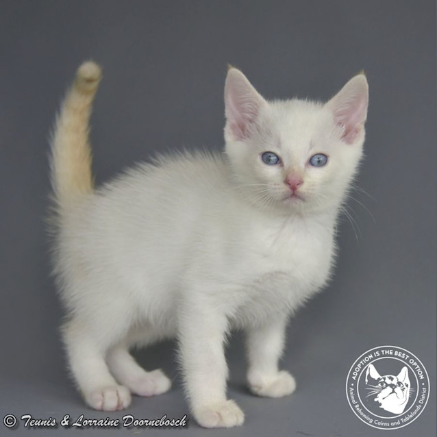 Photo of Monte Carlo