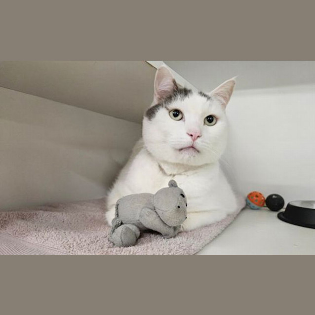 Photo of Booger