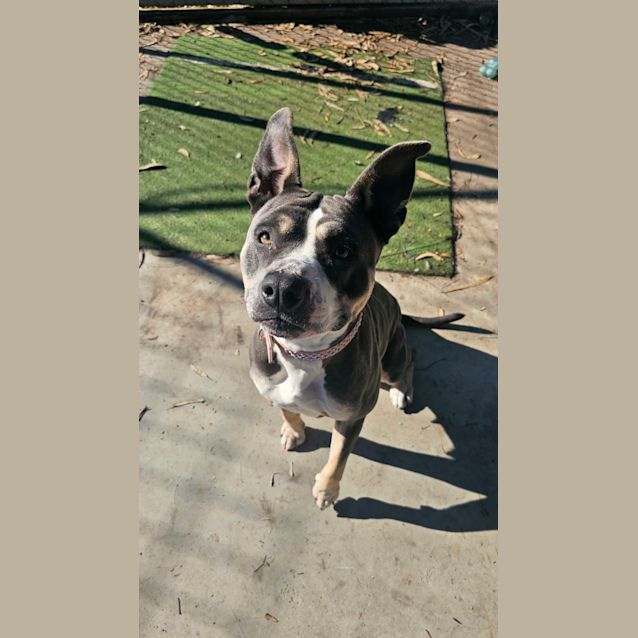 Photo of Winnie