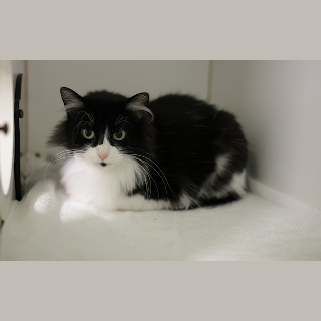 Photo of Mimi
