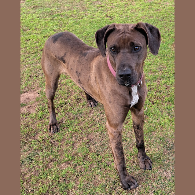 Photo of Xena