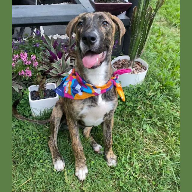 Photo of Tilly