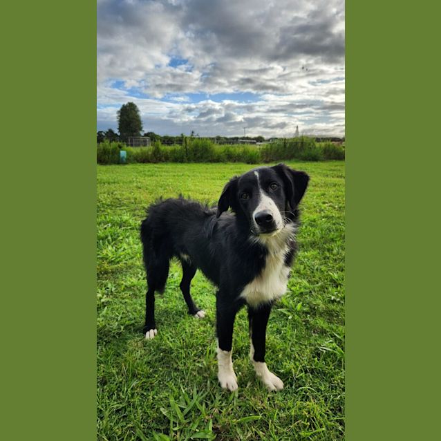 Photo of Fred
