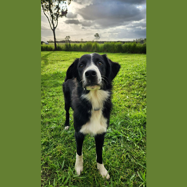 Photo of Fred