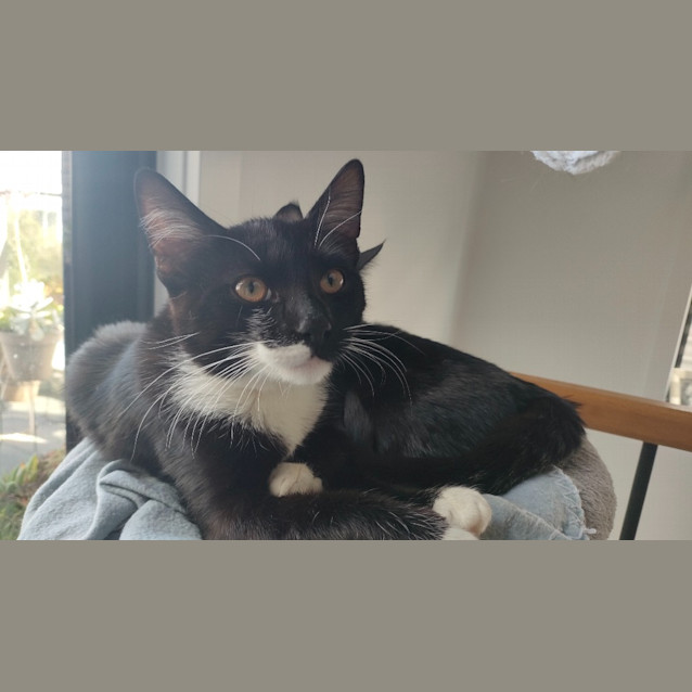 Photo of Klaus
