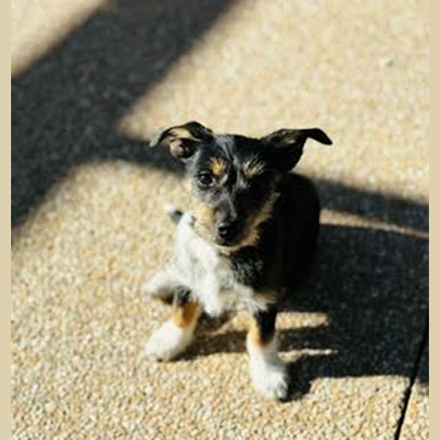 Photo of Jemima