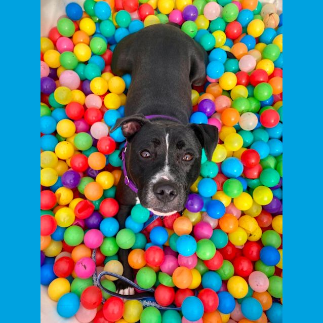 Photo of Benny Boy