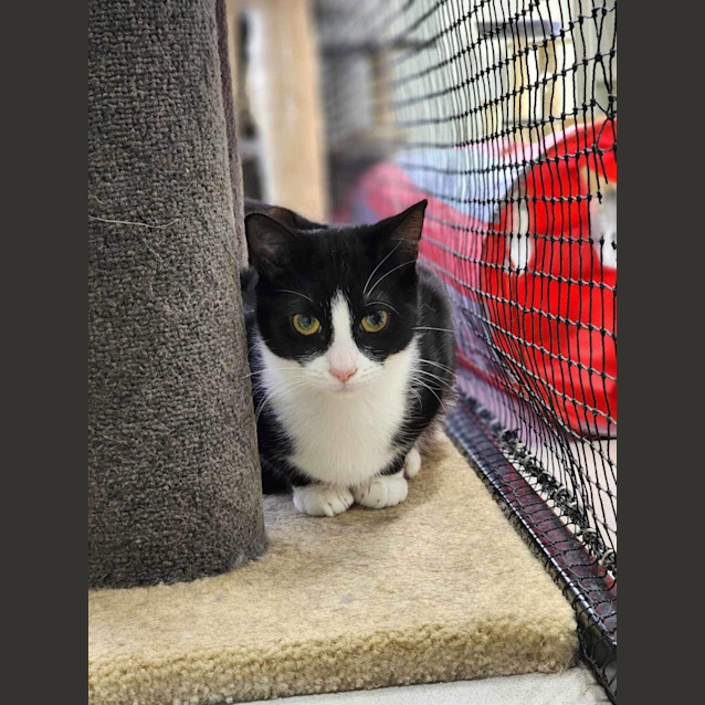 Photo of 🖼 Denver 5067 🖼