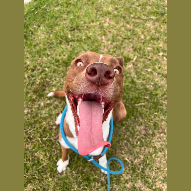 Photo of Maggie