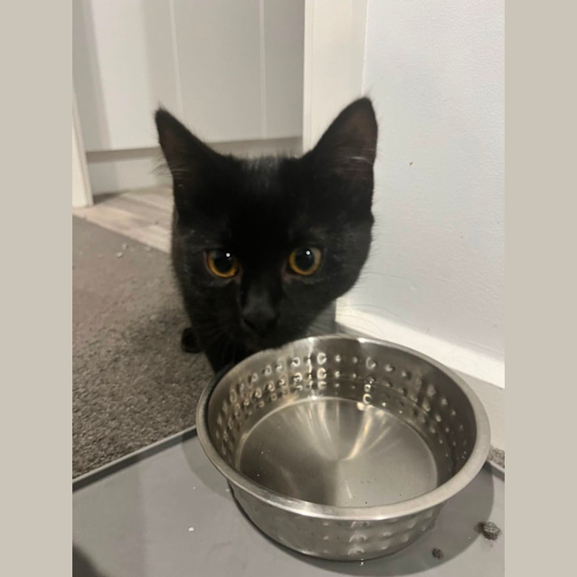 Photo of Little Miss