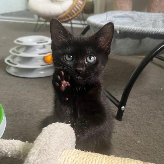 Photo of Elliott 🕸️ 🐬