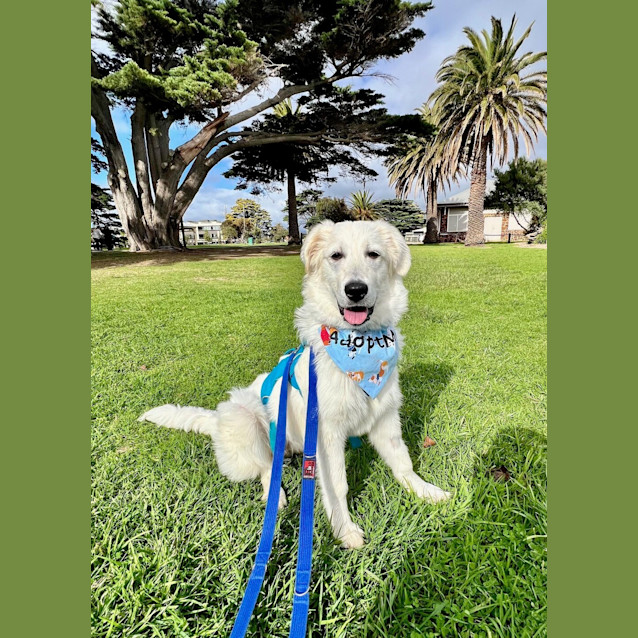 Photo of Winnie