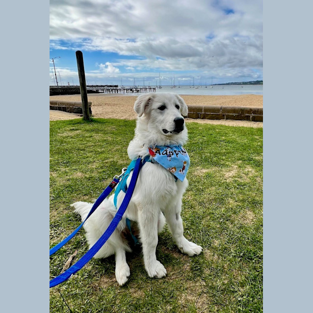 Photo of Winnie