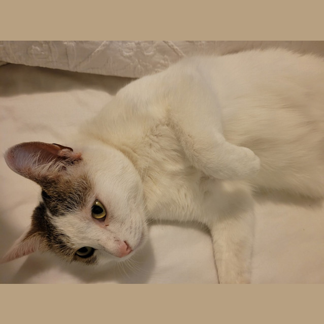 Photo of Narla