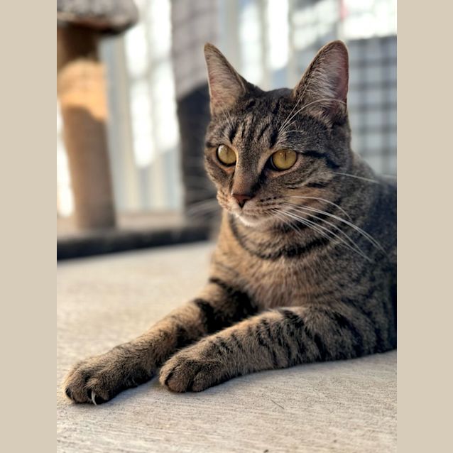 Photo of Sierra 