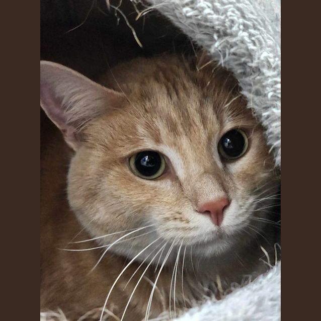 Photo of 🍷 Moet 5154 🍷