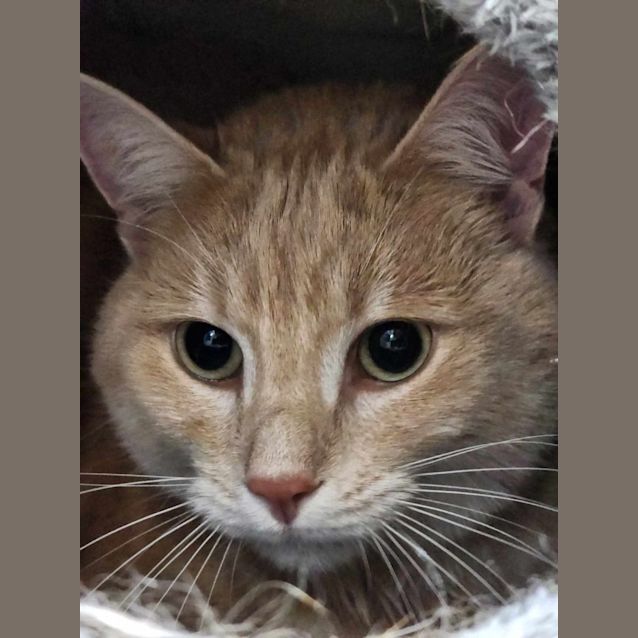 Photo of 🍷 Moet 5154 🍷