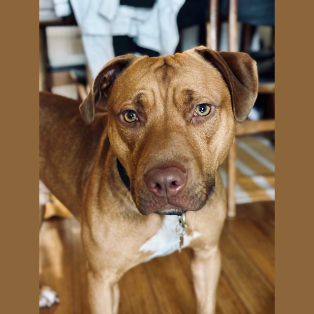 Photo of Frank