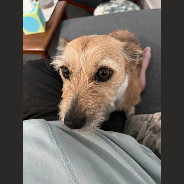 Photo of Winnie (Formerly Tammy)