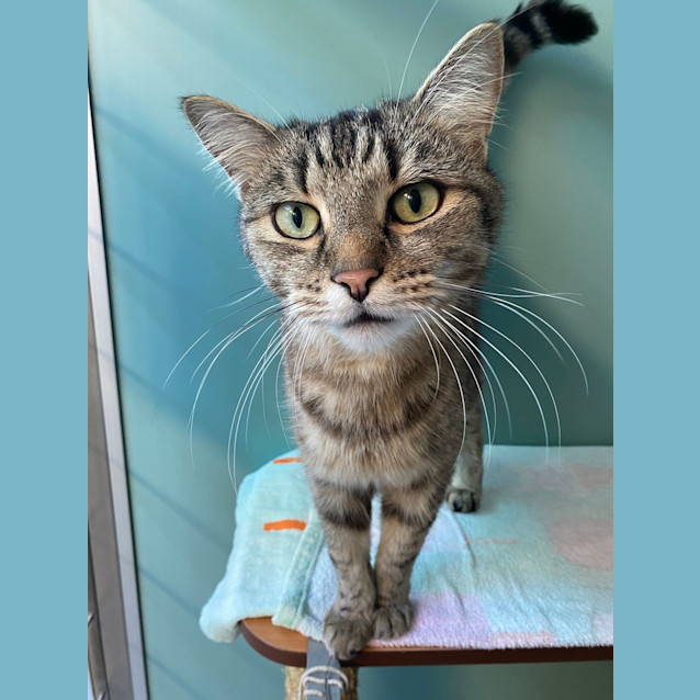 Photo of Tycho