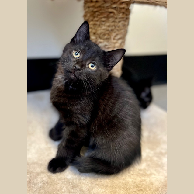 Photo of Cloudy