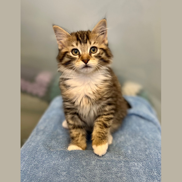 Photo of Windy