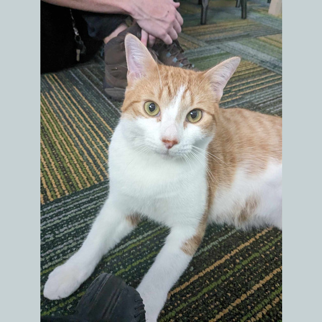 Photo of Ripley