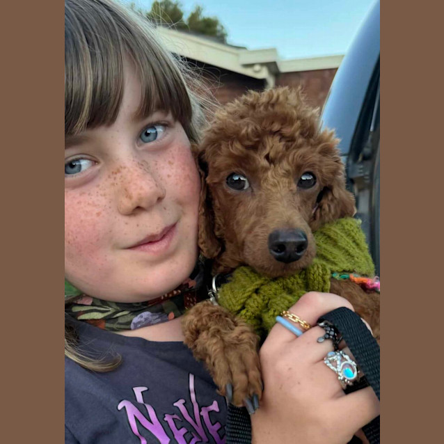 Photo of Charlie Bear