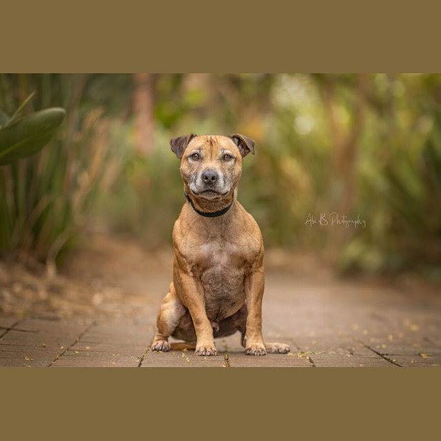 Photo of Hugo
