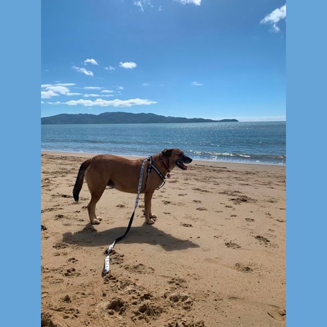 Photo of Molly