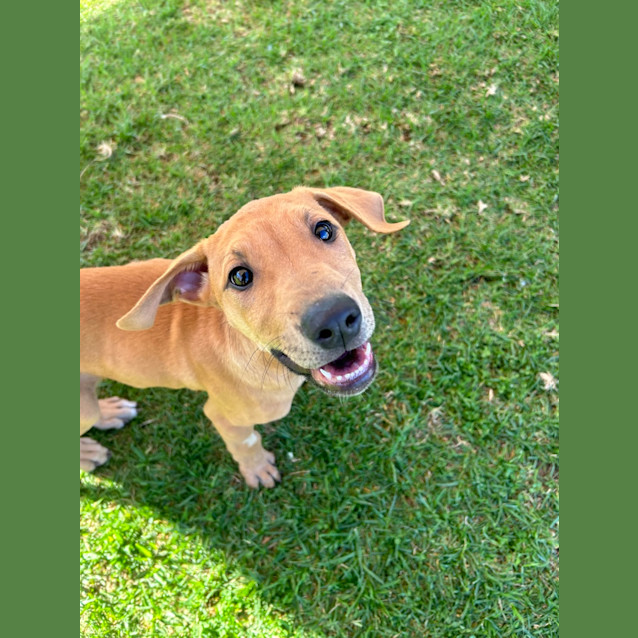 Photo of Twistie