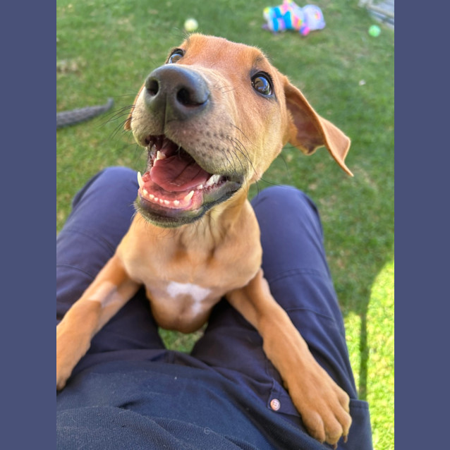 Photo of Twistie