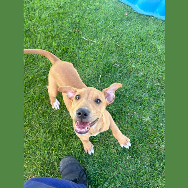 Photo of Sunnie