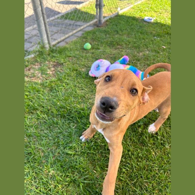 Photo of Sunnie