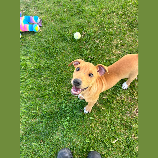 Photo of Sunnie