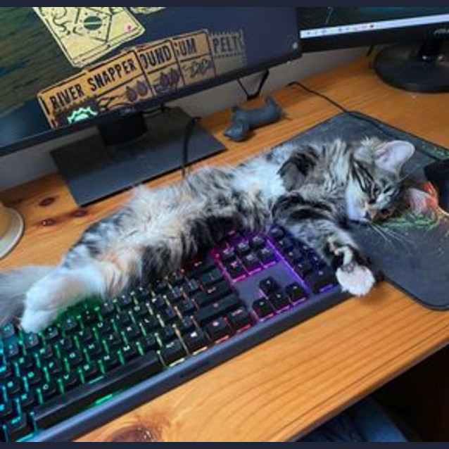 Photo of Bailey & Clove