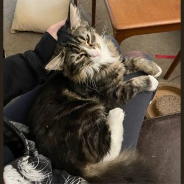 Photo of Bailey & Clove