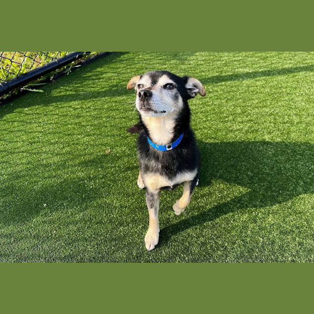 Photo of River Imp 1019