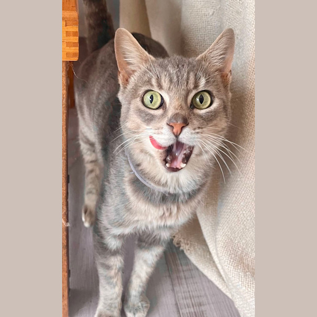 Photo of Daryl Strawberry (6568)