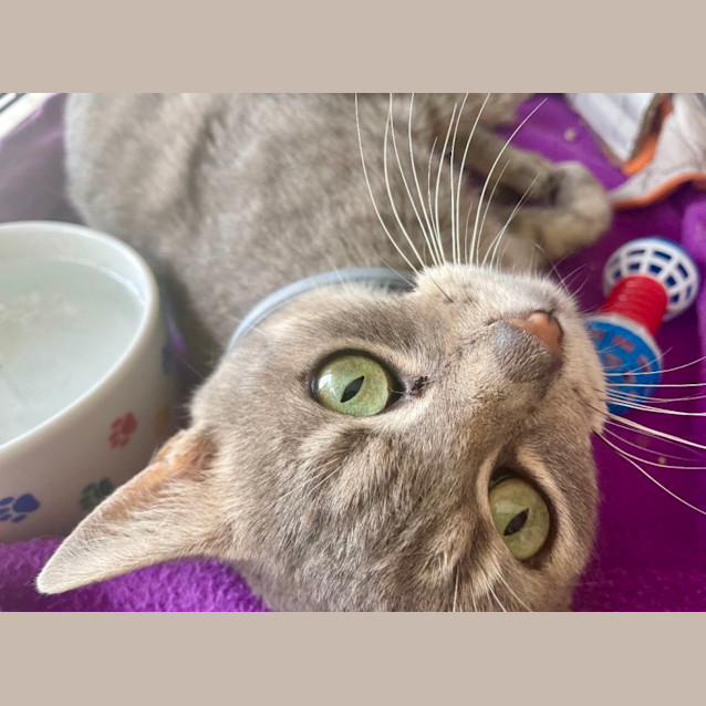 Photo of Daryl Strawberry (6568)