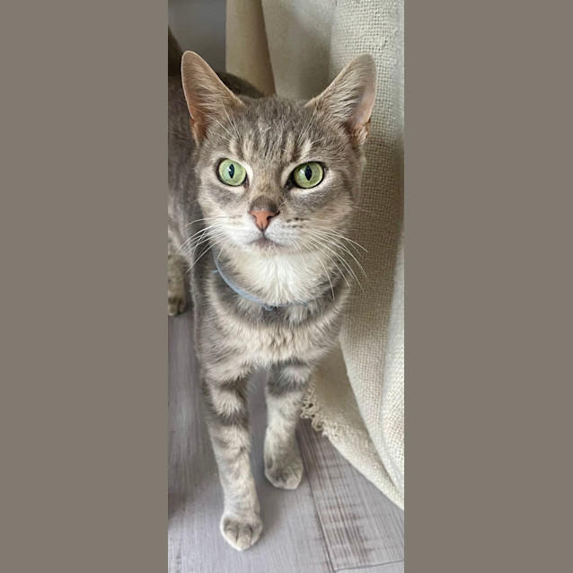 Photo of Daryl Strawberry (6568)