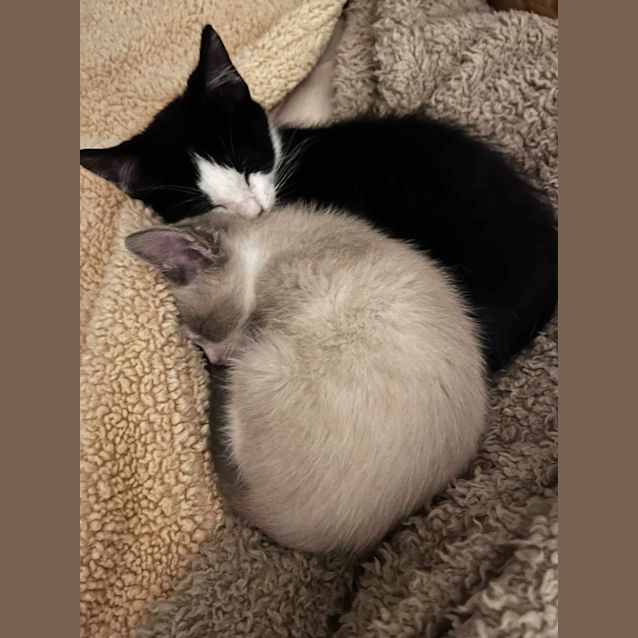 Photo of Salt And Sandy 