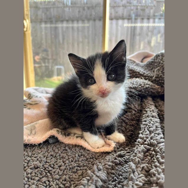 Photo of Salt And Sandy 