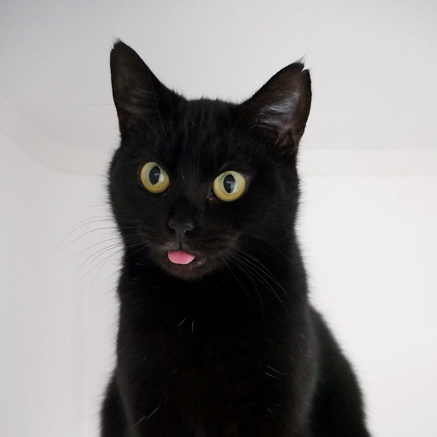 Photo of Judy Sta012245