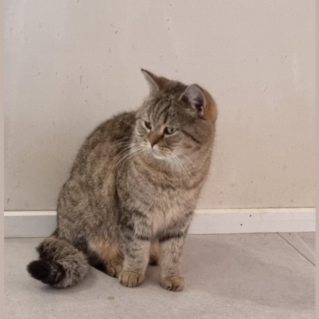 Photo of Caitir (Katie)