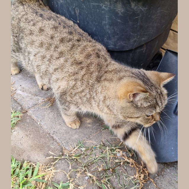 Photo of Caitir (Katie)