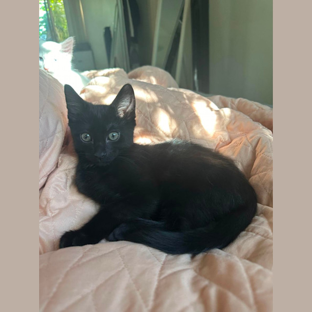 Photo of Spark And Sketch