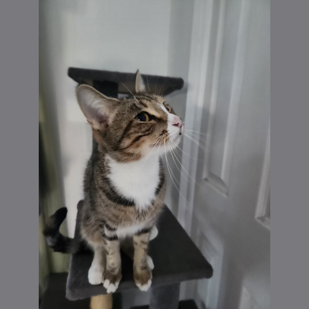 Photo of Hera